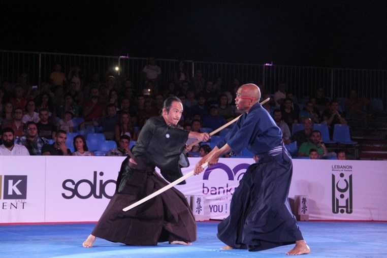 Martial Arts Festival